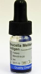 Brucella Melitensis 5 ML – Bio Focus BD