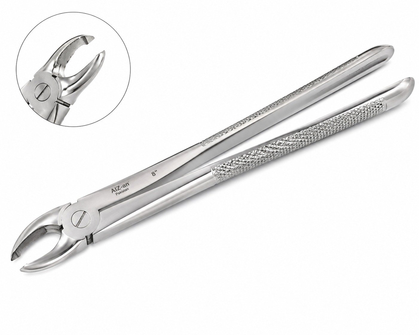 TOOTH FORCEPS 8" – AIZ-AN Pakistan