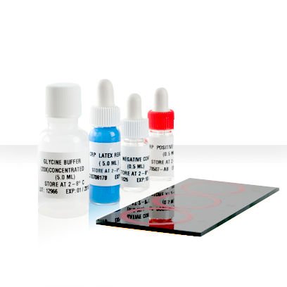 CRP Latex with Control & Slide – 100 Test (Bio Focus BD)