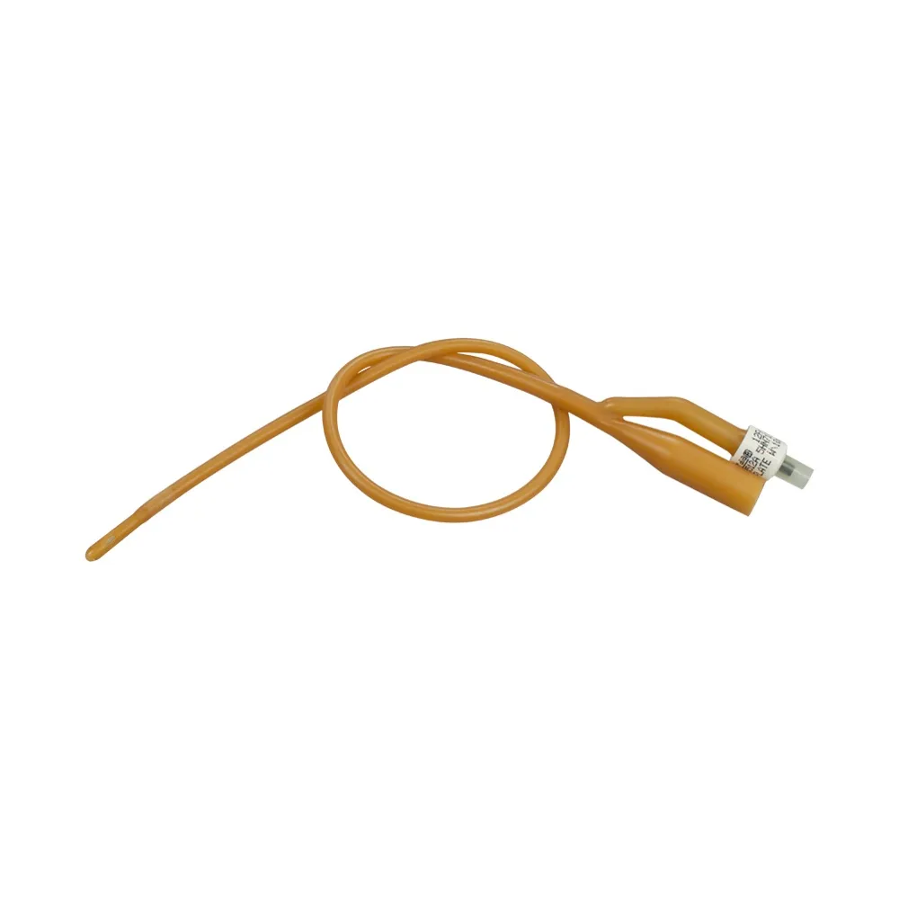 Foley Catheter 14 Fr (Bardia)